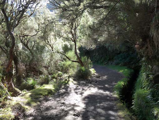 03-Rabacal-LevadaDoRisco-Lev25Fontes-022