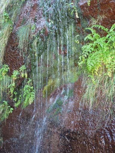 03-Rabacal-LevadaDoRisco-Lev25Fontes-031