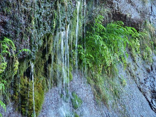 03-Rabacal-LevadaDoRisco-Lev25Fontes-033