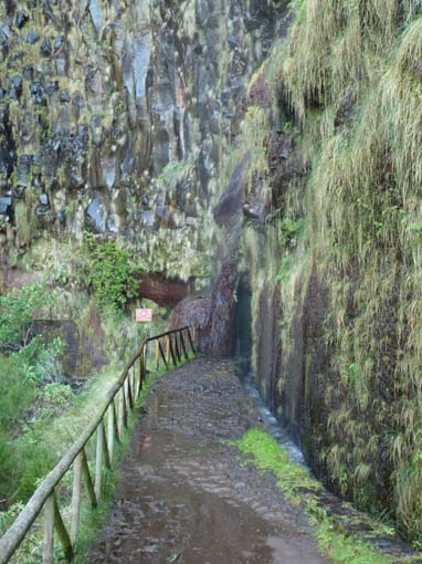 03-Rabacal-LevadaDoRisco-Lev25Fontes-043