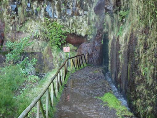 03-Rabacal-LevadaDoRisco-Lev25Fontes-044