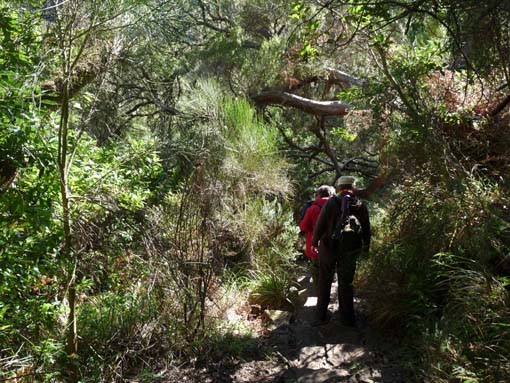 03-Rabacal-LevadaDoRisco-Lev25Fontes-052