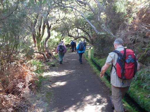 03-Rabacal-LevadaDoRisco-Lev25Fontes-053