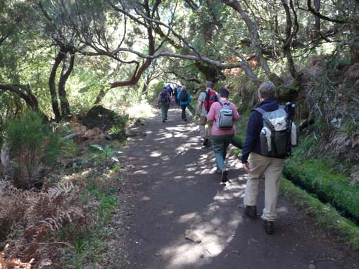 03-Rabacal-LevadaDoRisco-Lev25Fontes-054