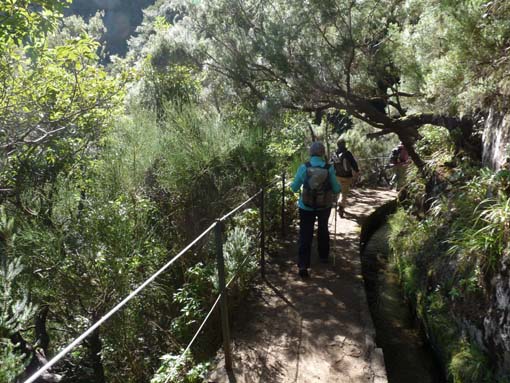 03-Rabacal-LevadaDoRisco-Lev25Fontes-055