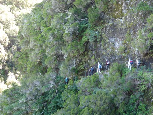 03-Rabacal-LevadaDoRisco-Lev25Fontes-058