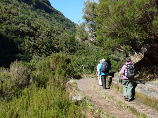 03-Rabacal-LevadaDoRisco-Lev25Fontes-062