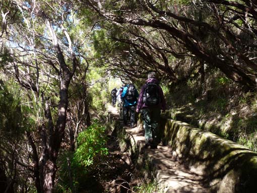 03-Rabacal-LevadaDoRisco-Lev25Fontes-064