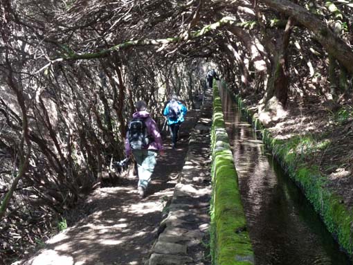 03-Rabacal-LevadaDoRisco-Lev25Fontes-067