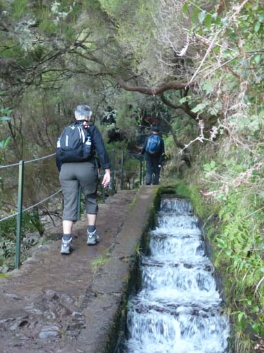 03-Rabacal-LevadaDoRisco-Lev25Fontes-069