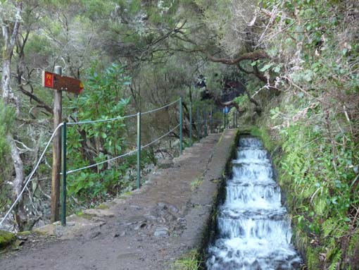 03-Rabacal-LevadaDoRisco-Lev25Fontes-072