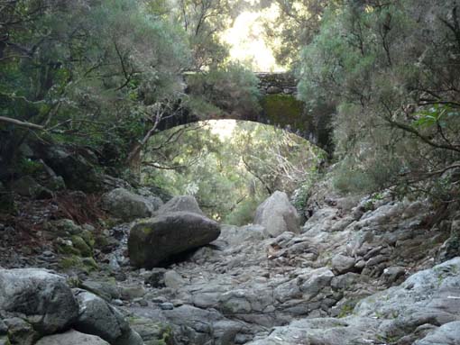 03-Rabacal-LevadaDoRisco-Lev25Fontes-077