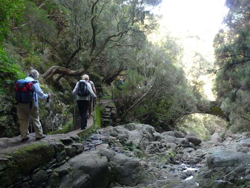 03-Rabacal-LevadaDoRisco-Lev25Fontes-092