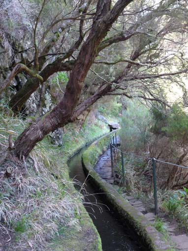 03-Rabacal-LevadaDoRisco-Lev25Fontes-095