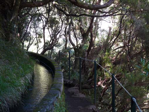 03-Rabacal-LevadaDoRisco-Lev25Fontes-096