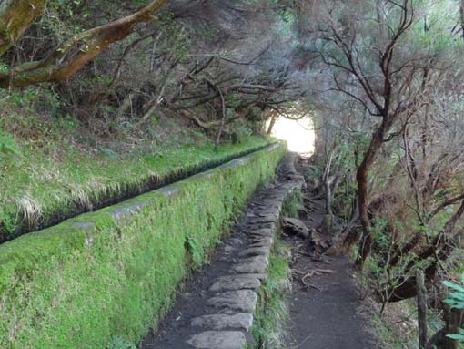 03-Rabacal-LevadaDoRisco-Lev25Fontes-097