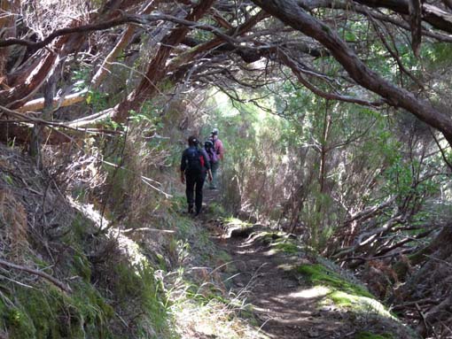 03-Rabacal-LevadaDoRisco-Lev25Fontes-100