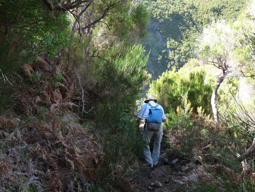 03-Rabacal-LevadaDoRisco-Lev25Fontes-101