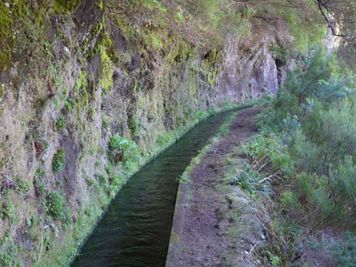 03-Rabacal-LevadaDoRisco-Lev25Fontes-104