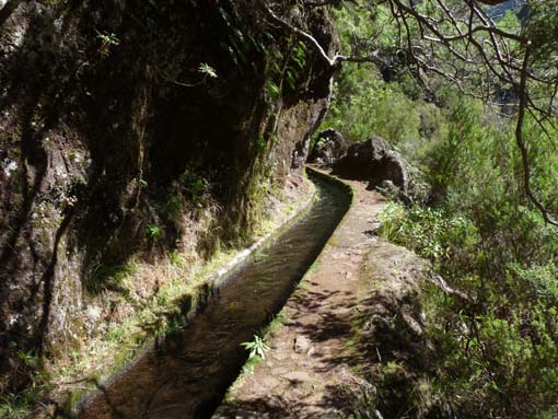 03-Rabacal-LevadaDoRisco-Lev25Fontes-108