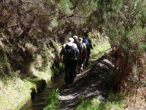 03-Rabacal-LevadaDoRisco-Lev25Fontes-110