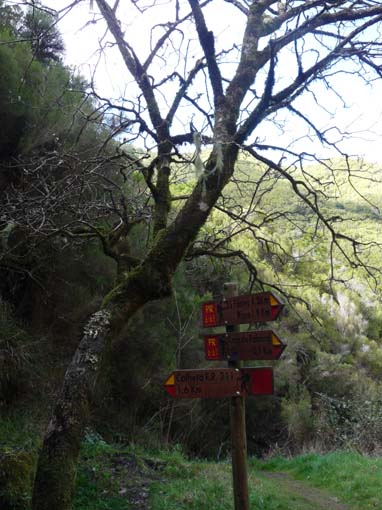 03-Rabacal-LevadaDoRisco-Lev25Fontes-117