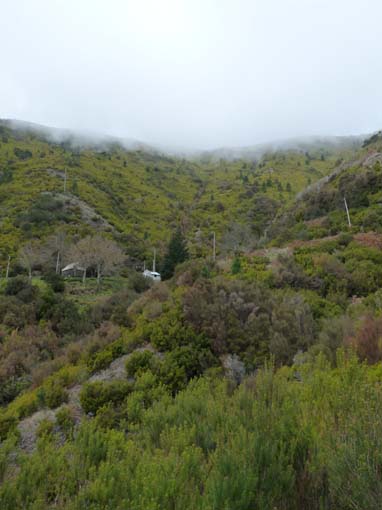 03-Rabacal-LevadaDoRisco-Lev25Fontes-129