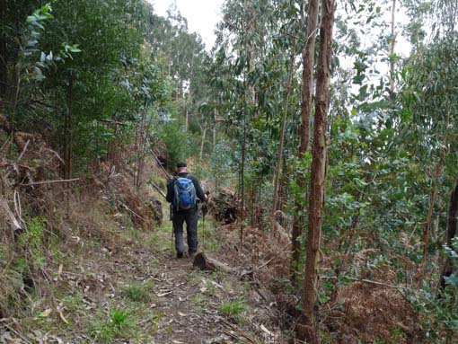 03-Rabacal-LevadaDoRisco-Lev25Fontes-139