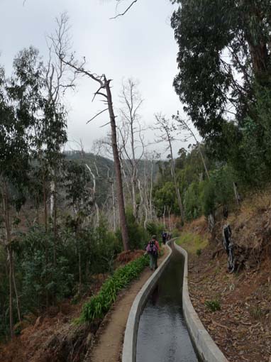 03-Rabacal-LevadaDoRisco-Lev25Fontes-141