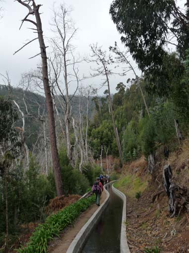 03-Rabacal-LevadaDoRisco-Lev25Fontes-142