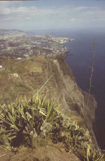 Madeira-071