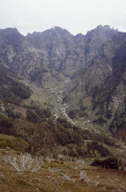 Madeira-108