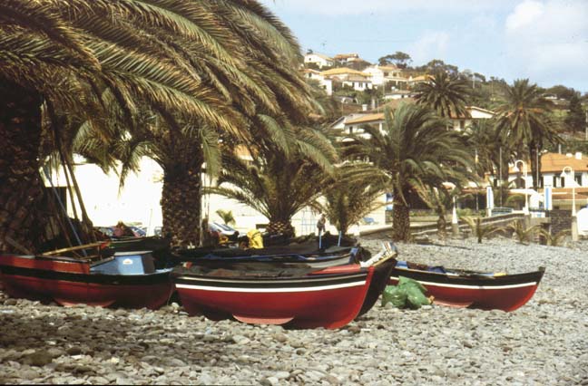 Funchal, Madeira