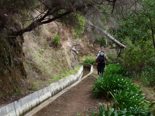 04-Prazeres-LevadaNova-Calheta-035