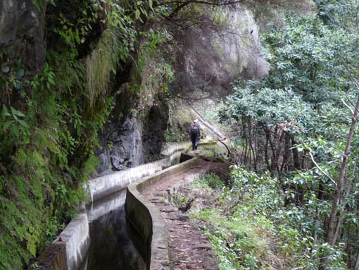 04-Prazeres-LevadaNova-Calheta-037