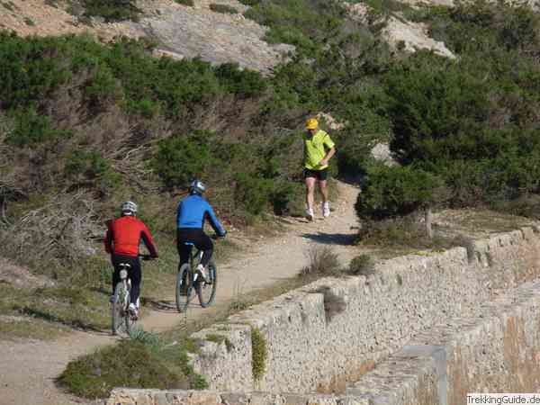 Läufer und Radfahrer