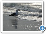 240613_Juist_020