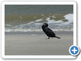 240613_Juist_074