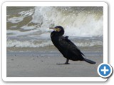 240613_Juist_075