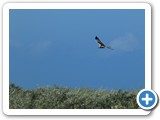 240613_Juist_168