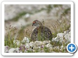 Seefeld_Wanderreise_210724_7059