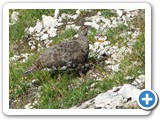 Seefeld_Wanderreise_210724_7064