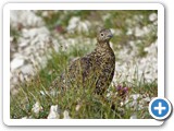 Seefeld_Wanderreise_210724_7072