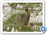 Seefeld_Wanderreise_210724_7073