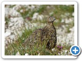 Seefeld_Wanderreise_210724_7074