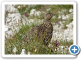 Seefeld_Wanderreise_210724_7075