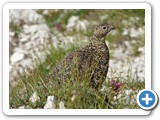 Seefeld_Wanderreise_210724_7076