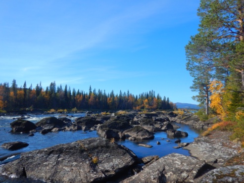 Lappland: Vindelälv bei Gillesnuole