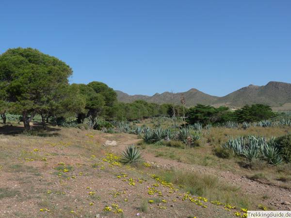 Wandern Spanien