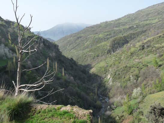 06-Capileira-Cebadilla-002